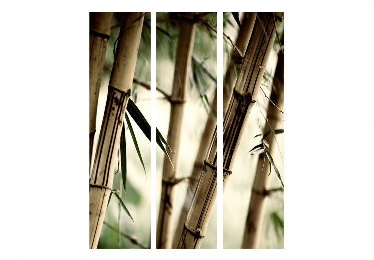 Spanische Wand Fog and bamboo forest [Room Dividers] 132580 additionalImage 3