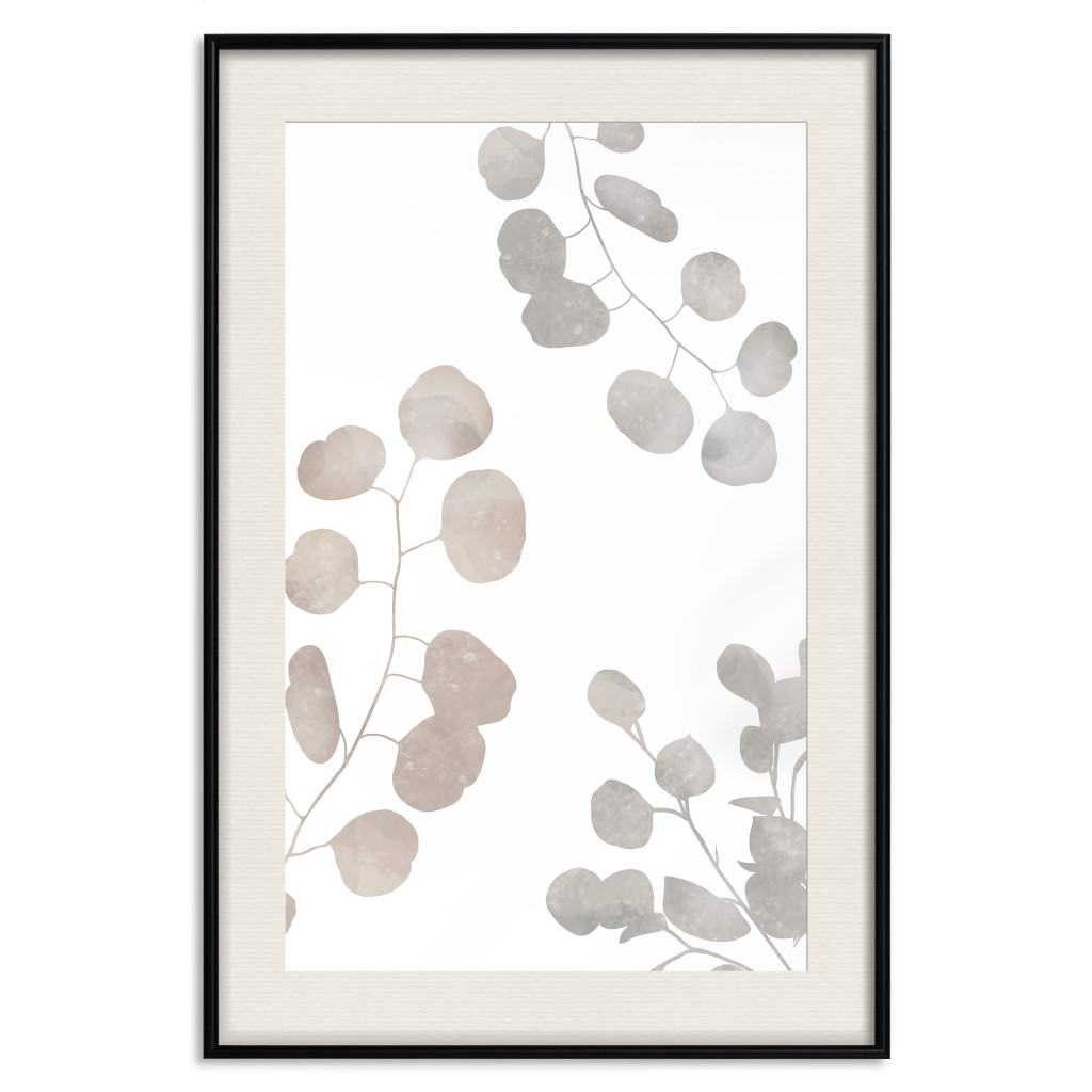 Plakat: Eukaliptusowa Kompozycja Roślinna - Liście I Gałązki Na Białym Tle