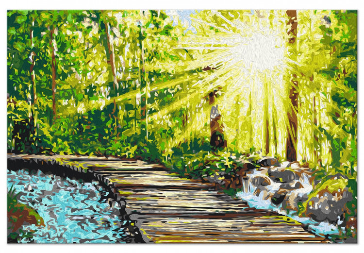 Paint by number Walk in the Forest - Wooden Path Among Trees and a Stream 148880 additionalImage 7