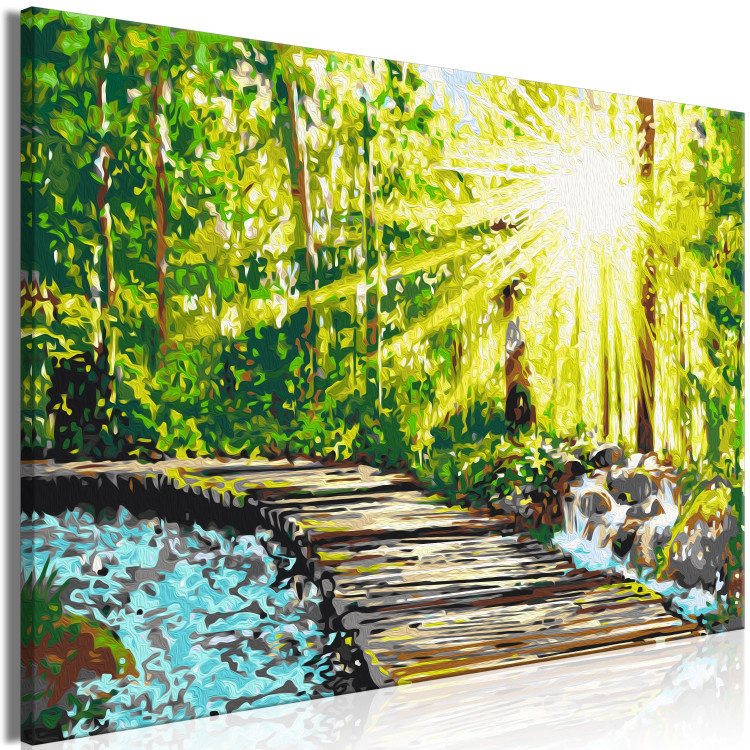 Cuadro para pintar por números Walk in the Forest - Wooden Path Among Trees and a Stream 148880 additionalImage 5