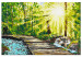 Obraz do malowania po numerach Spacer po lesie - drewniana ścieżka wśród drzew i strumyku 148880 additionalThumb 7