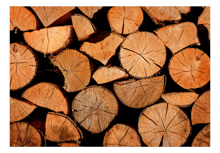 Fototapeta Surowe drewno - sterta ściętych drzew z widocznymi pęknięciami 149880 additionalImage 1