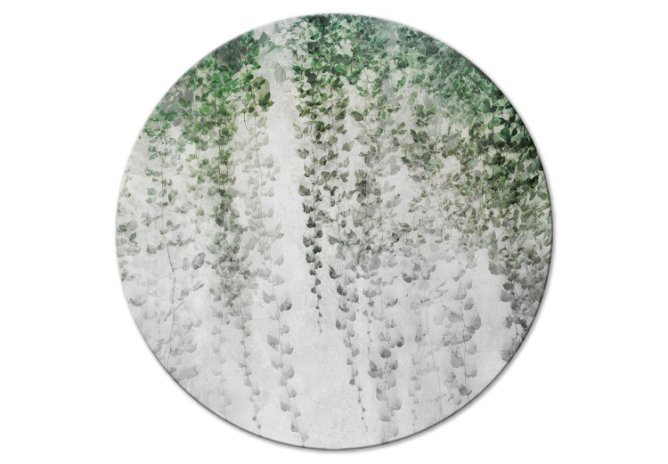 Okrągły obraz Oaza spokoju - roślinna kompozycja z bluszczem na murze