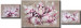 Cadre moderne Composition de magnolias 48480