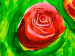Cuadro decorativo En el jardín de rosas  48580 additionalThumb 2