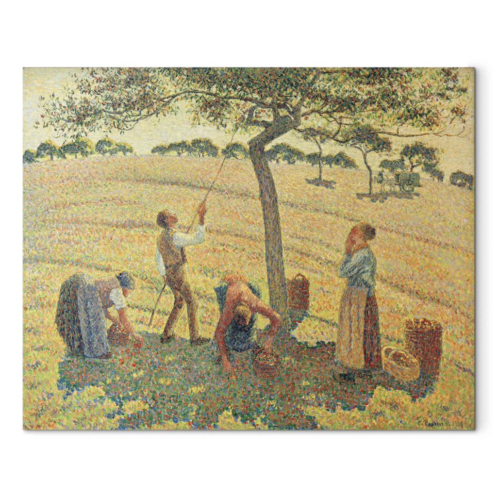Schilderij  Camille Pissarro: The Apple Harvest, Eragnysur-Epte