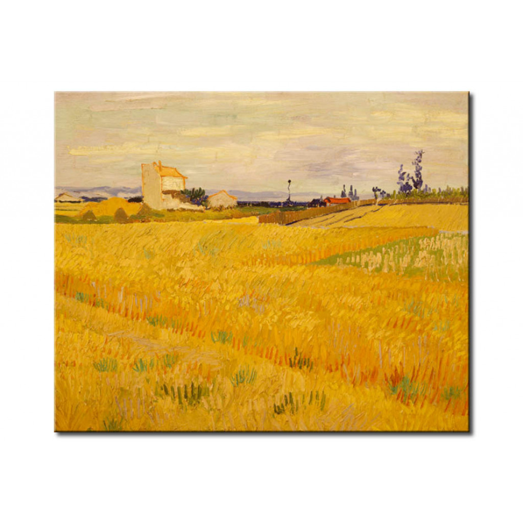 Schilderij  Vincent Van Gogh: Cornfield