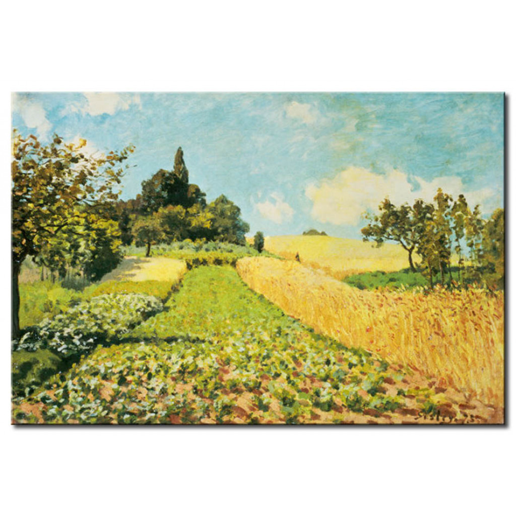Schilderij  Alfred Sisley: Wheat Field