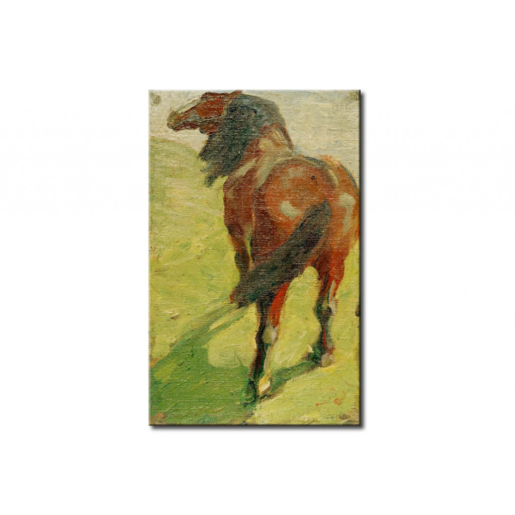 Schilderij  Franz Marc: Studie Eines Pferdes