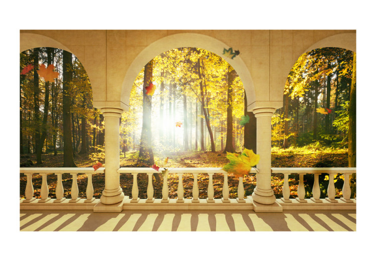 Wall Mural Dream about autumnal forest 60280 additionalImage 1