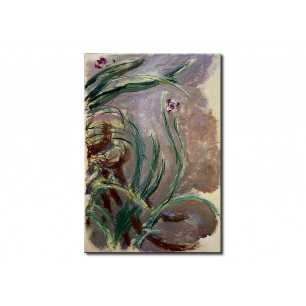 Schilderij  Claude Monet: Iris
