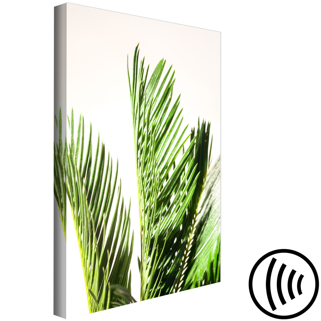 Canvastavla Tre Palmblad - Blad Från Ett Tropiskt Träd Som Susar I Vinden På En Beige Bakgrund
