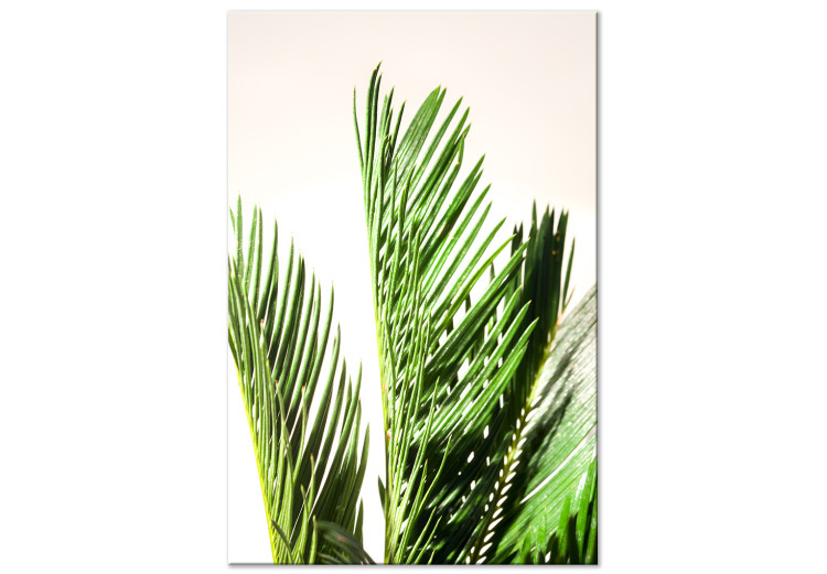 Quadro su tela Tre foglie di palma - le foglie di un albero tropicale che si muovono nel vento su uno sfondo beige