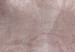 Carta da parati moderna Organza rosea -  rose astratte penetranti e peonie nella nebbia in tonalità del rosa cipria 135490 additionalThumb 4