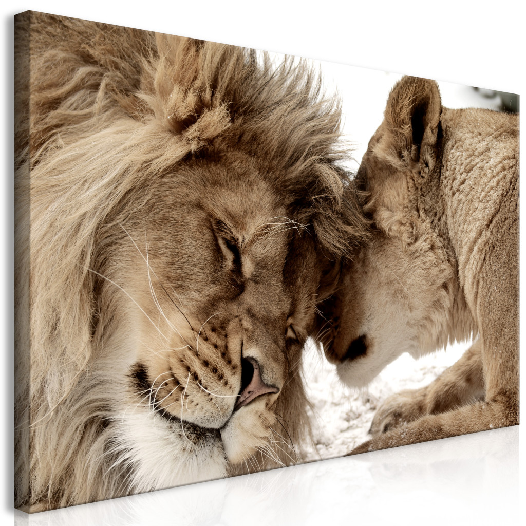 Schilderij Lion Couple II [Large Format]