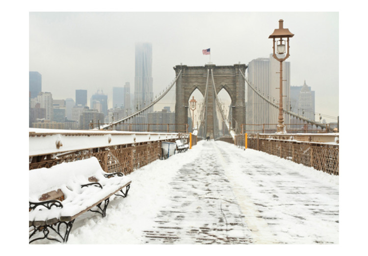 Wall Mural New York Architecture - Winter Bridge with City Skyscrapers in the USA 59790 additionalImage 1