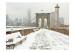 Wall Mural New York Architecture - Winter Bridge with City Skyscrapers in the USA 59790 additionalThumb 1