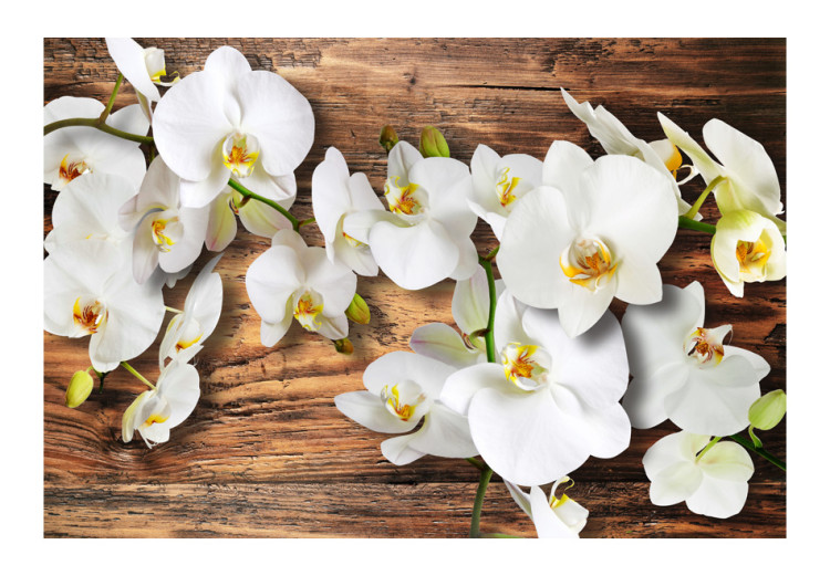 Wall Mural Plant Composition with Wood - Orchid Flowers Resting on Wood 60190 additionalImage 1