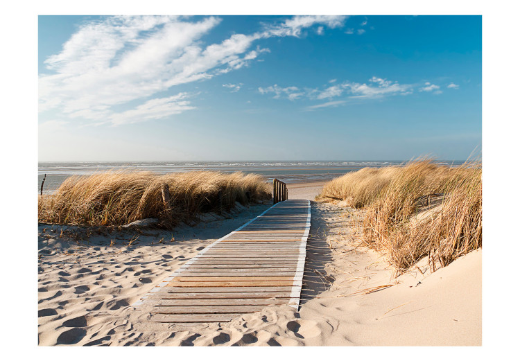 Carta da parati moderna Spiaggia del Mare del Nord, Langeoog 61590 additionalImage 1
