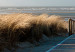 Carta da parati moderna Spiaggia del Mare del Nord, Langeoog 61590 additionalThumb 3