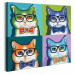 Obraz do malowania po numerach Koty w okularach 107501 additionalThumb 5