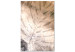 Obraz Szum monstery - przenikające się abstrakcja morza i liści monstery 121901