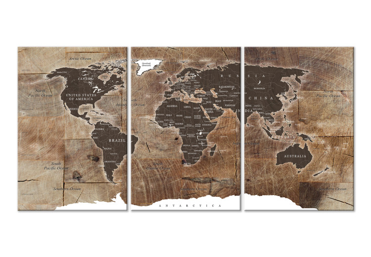 Obraz na płótnie Mapa świata: Drewniana mozaika (3-częściowy)