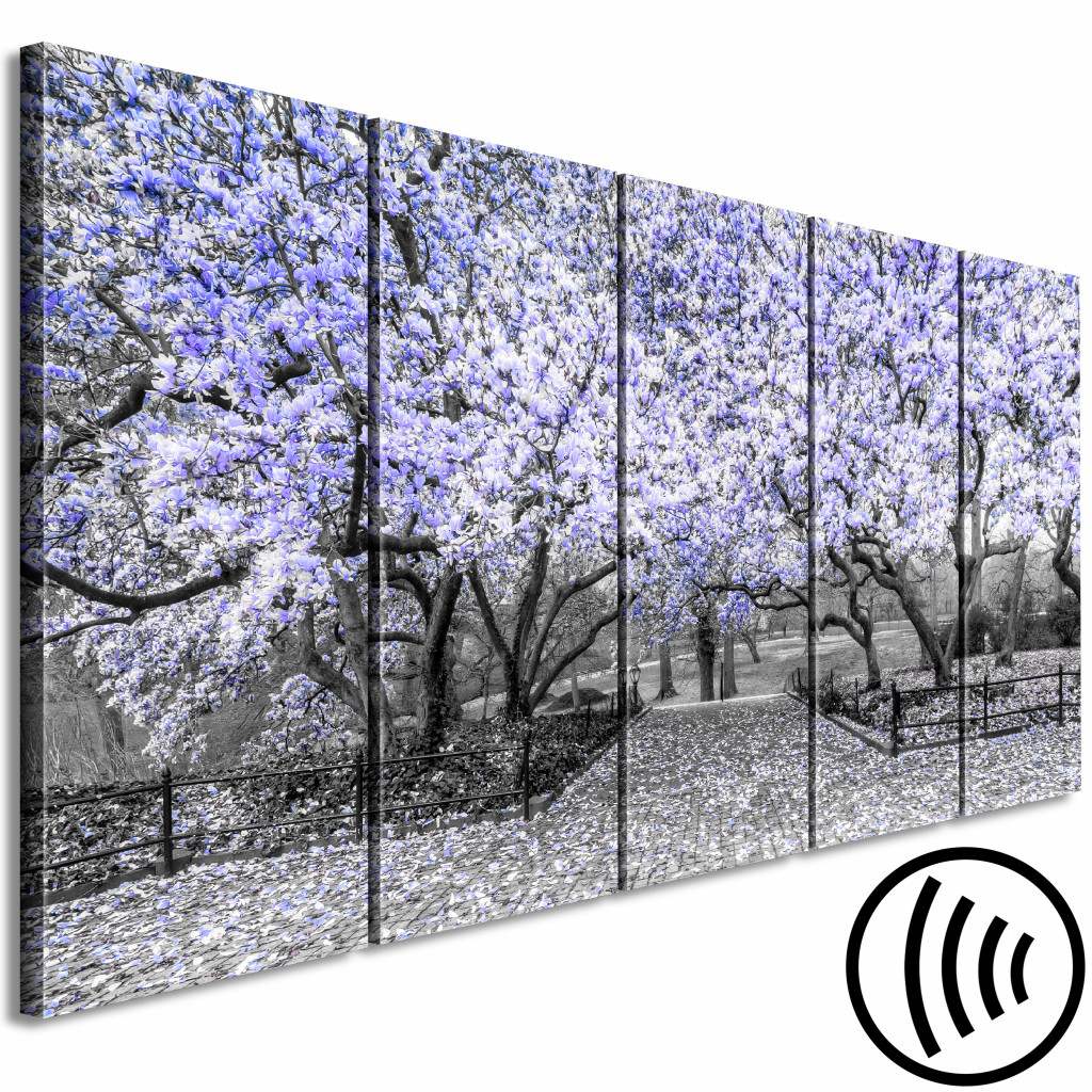 Obraz Ukwiecone Drzewa Magnolii - Czarno-białe Zdjęcie Z Fioletowym Akcentem