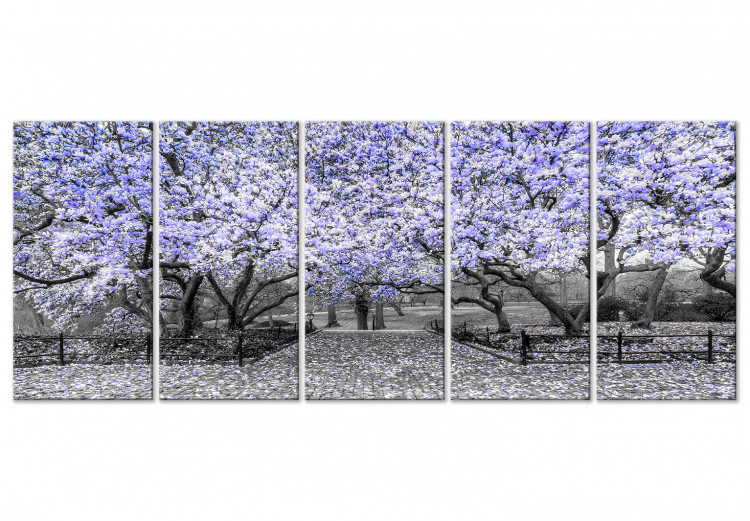 Ukwiecone drzewa magnolii - czarno-białe zdjęcie z fioletowym akcentem