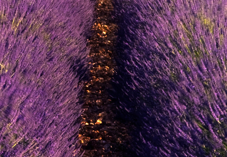 Canvas Print Lavender Field (1 Part) Wide 125001 additionalImage 4