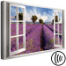 Canvas Print Lavender Field (1 Part) Wide 125001 additionalThumb 6