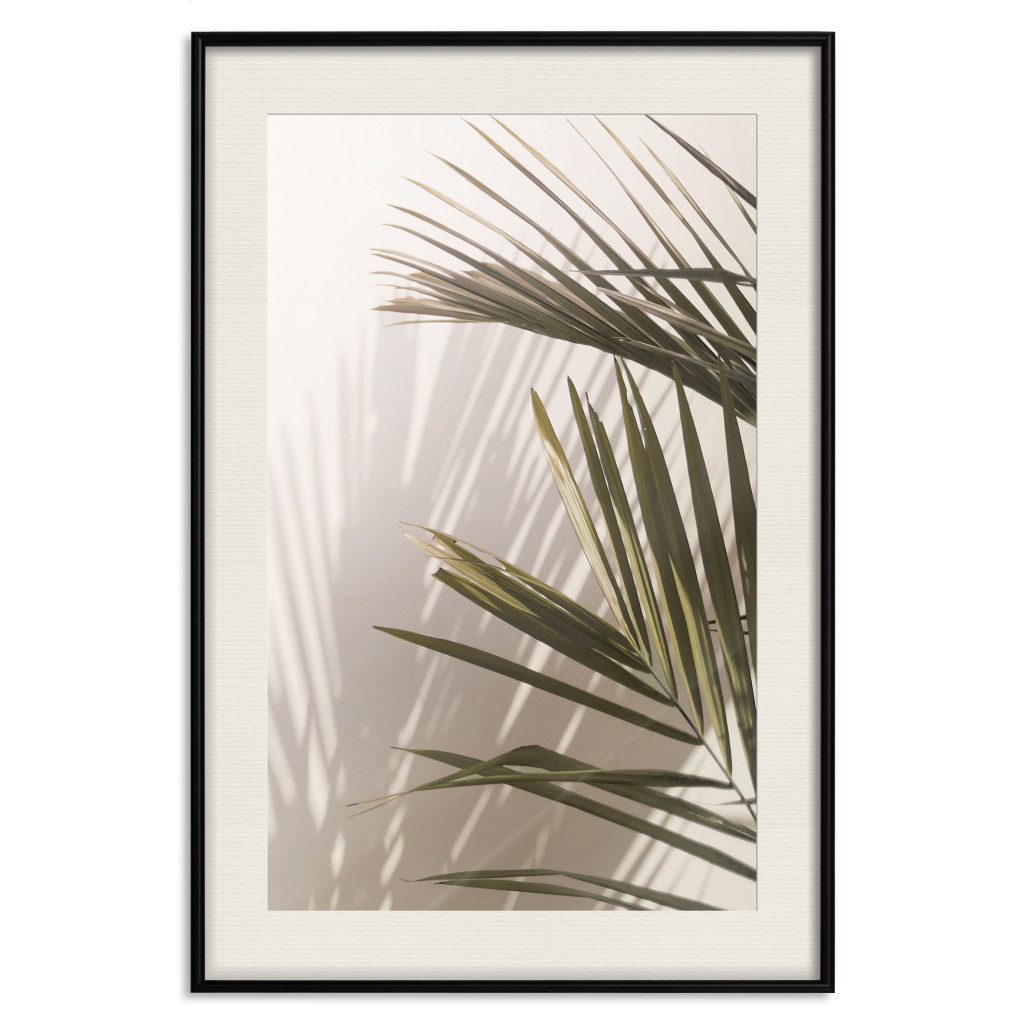 Plakat: Liście Palmy - Słoneczny Widok Na Spokojną Grę Cienia I światła