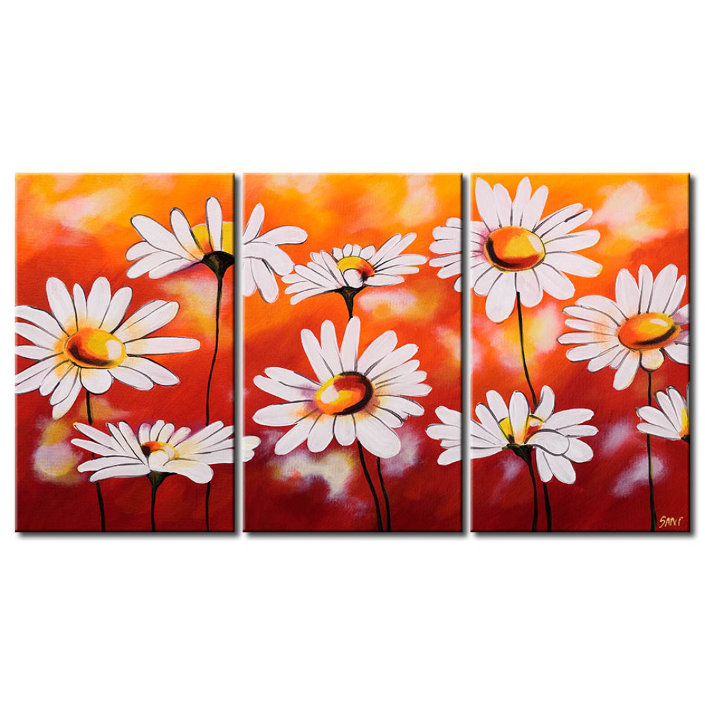 Schilderij  Madeliefjes: Madelen (3-delig) - Bloemencompositie Op Een Achtergrond In Zomerkleuren