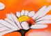 Obraz Stokrotki (3-częściowy) - kompozycja kwiatów na tle w barwach lata 48601 additionalThumb 2