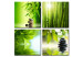Acrylic Print Green Zen [Glass] 92801 additionalThumb 2