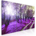 Quadro moderno Vicolo viola - paesaggio della foresta nella luce della lavanda 122211 additionalThumb 2