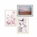 Picture wall Pink peonies 129311 additionalThumb 1