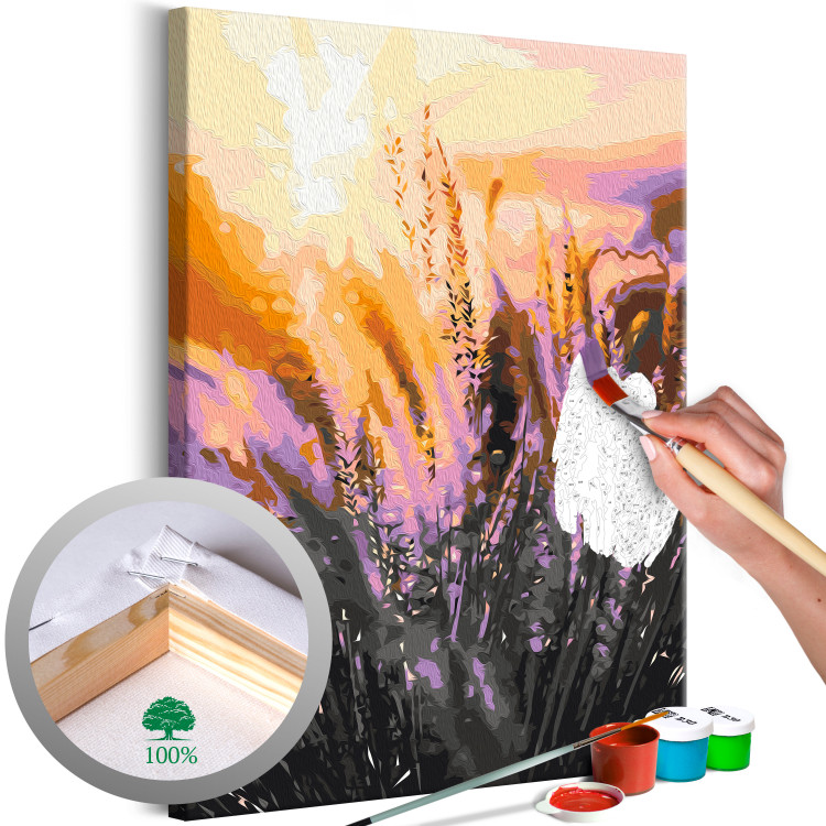 Paint by number Romantic Meadow - Delicate Golden Grass at Sunset 145211