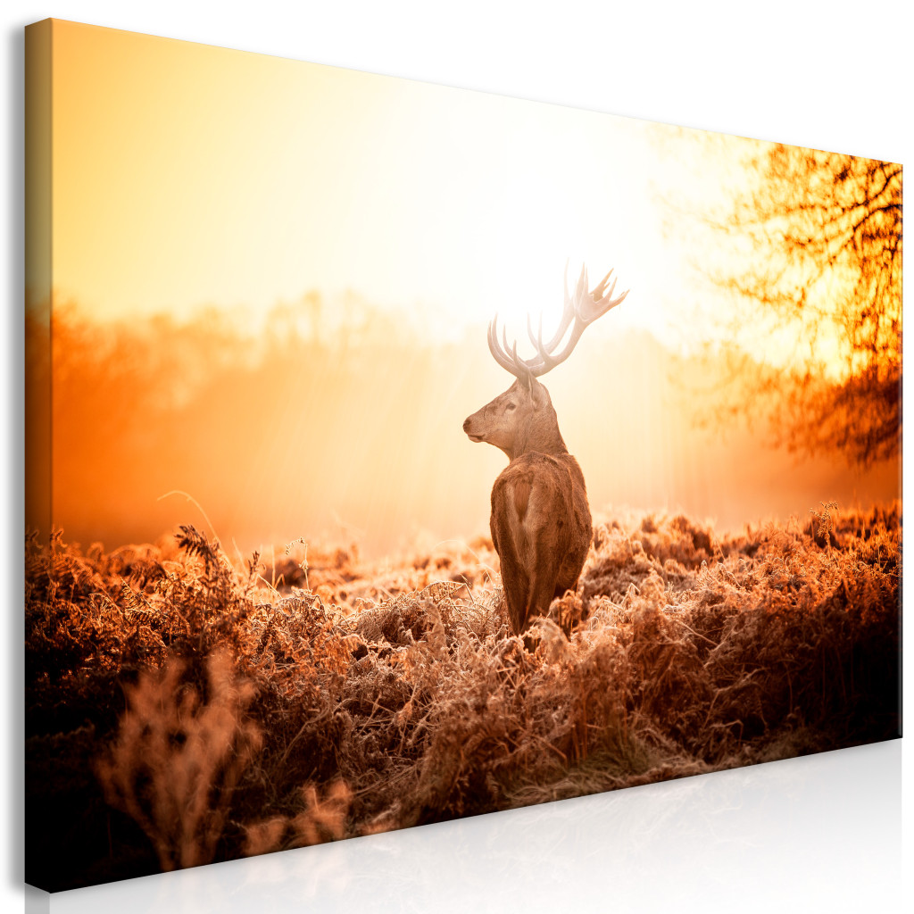 Schilderij Deer At Sunset II [Large Format]
