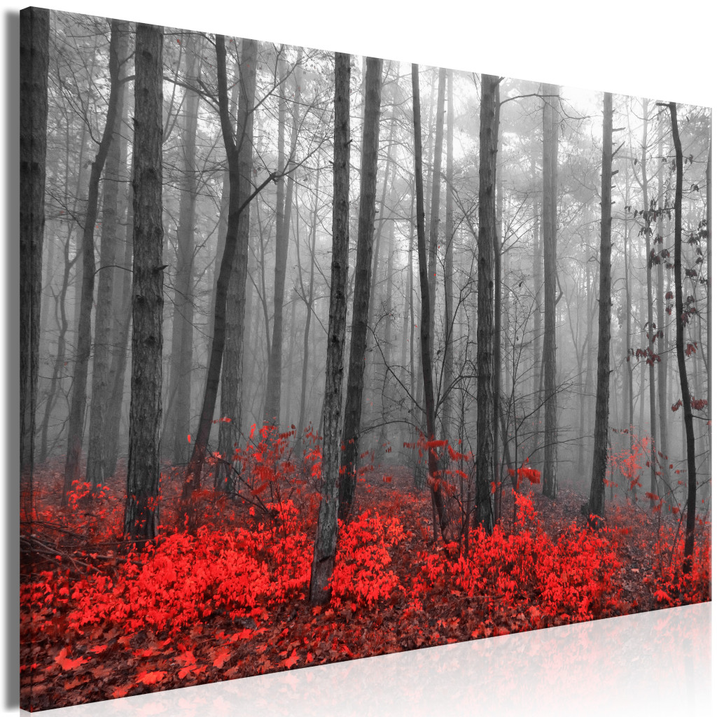 Schilderij Crimson Forest [Large Format]