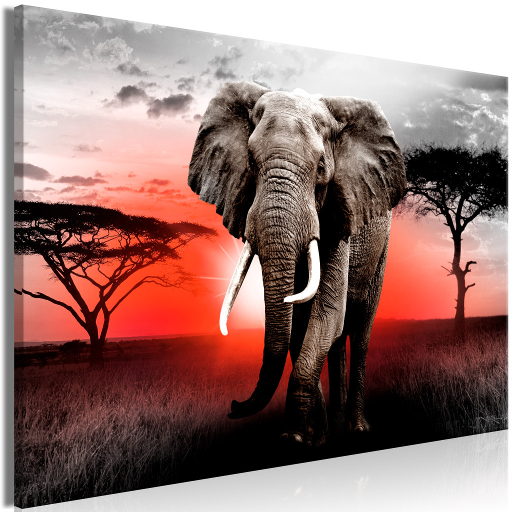 Schilderij Elephant Against The Setting Sun [Large Format]