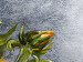 Toile murale Tournesols dans un pichet (1 pièce) - Bouquet de fleurs sur fond gris 48611 additionalThumb 3