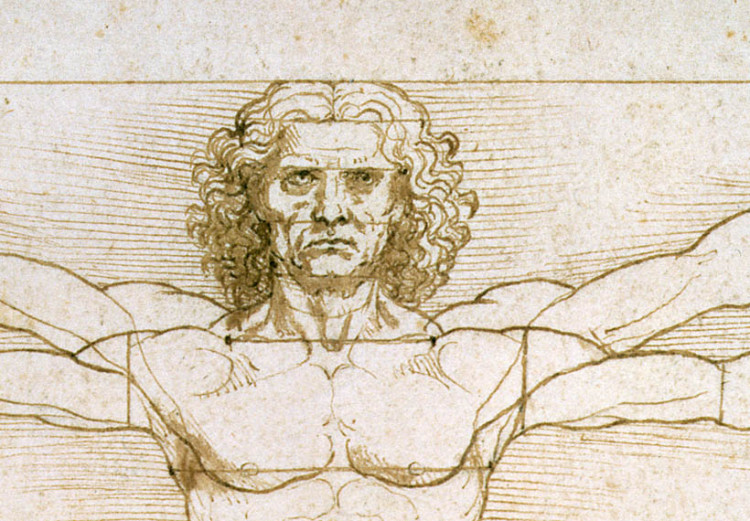 Reprodução do quadro famoso The Proportions of the human figure (after Vitruvius) 52011 additionalImage 2