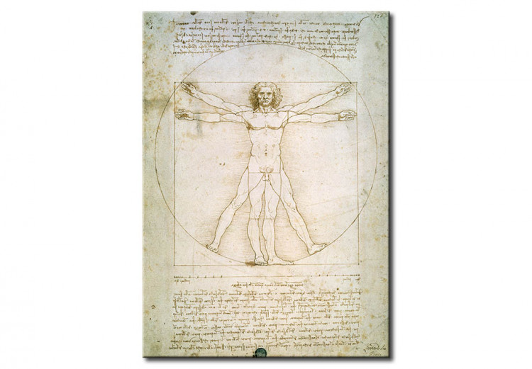 Reprodução do quadro famoso The Proportions of the human figure (after Vitruvius) 52011