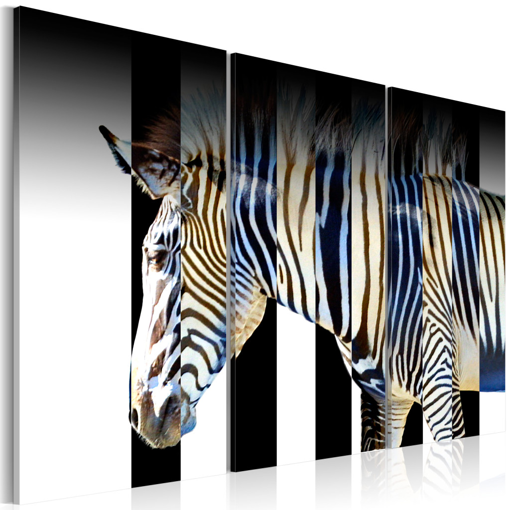 Schilderij  Zebra's: Strepen