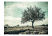 Wall Mural Vintage Tree - Rural Landscape of Tree in Field against Sky in Sepia 59911 additionalThumb 1