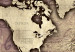 Ozdobna tablica korkowa Drogocenny świat [Mapa korkowa] 92211 additionalThumb 6