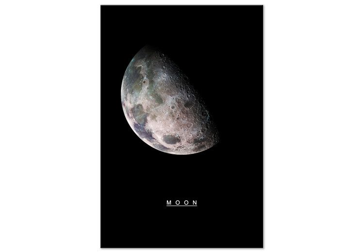 Obraz Księżyc (1-częściowy) pionowy 116721