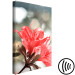 Obraz Czerwień hibiskusa - minimalistyczne zdjęcie gałązki i kwiatów  121621 additionalThumb 6