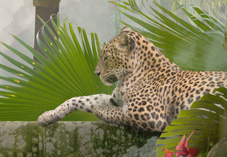Carta da parati moderna Wild Corner - Photo of the Jungle With Wild Animals in the Background 146221 additionalImage 4
